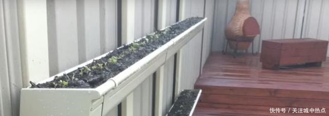 不在院子地上种菜,墙上面积这么大,上下3层种蔬菜再合适不过了!