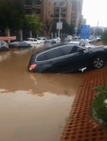 |笑话:难怪我多年数学不好,都是这个特征拖我后腿