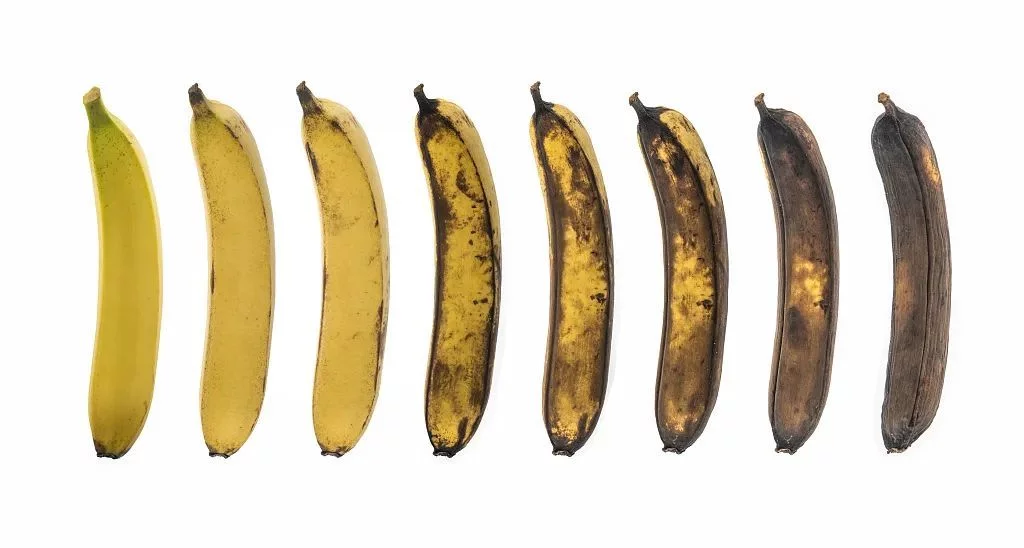 通便食物排行榜公布！藏在身边的天然“通便王”，不是香蕉而是它！