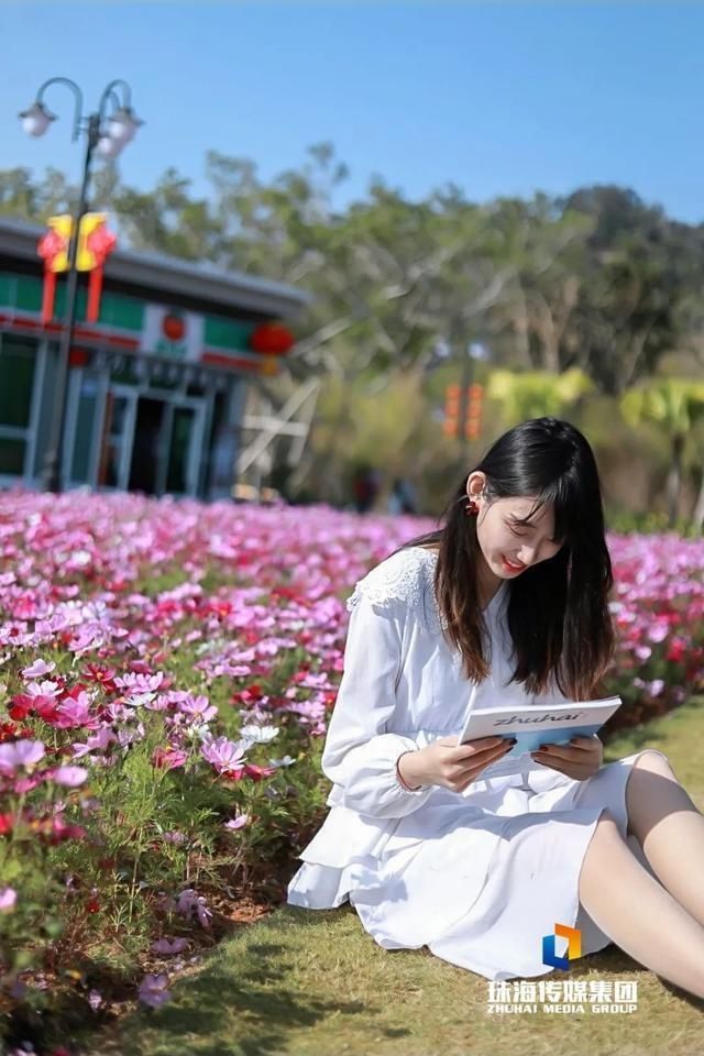 太养眼！茶花廊道、波斯菊花海、勒杜鹃廊道…海天公园上新啦