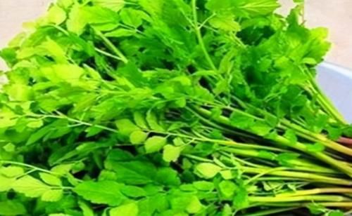 芦笋|想长寿要会吃，多吃好的食物，滋阴补肾，延缓衰老，气色更年轻