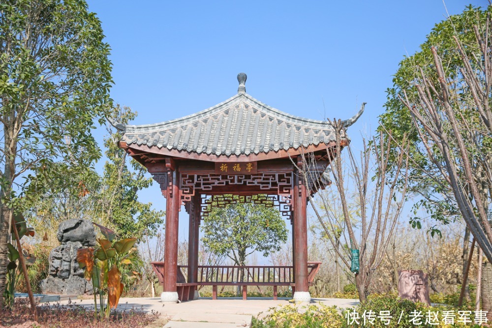 赏景啦!新年添喜色,西昌湿地公园梅花绽放