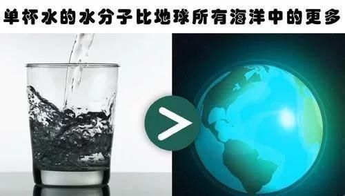 你肯定没有听过的10个冷知识与现实生活息息相关