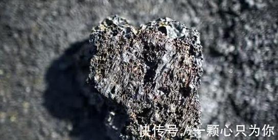 植物盆土积水,烂根严重,4种东西垫盆底,再也不用担心了