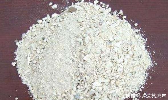 3种最适合当做“底肥”的肥料,养花盆里加一点,养啥旺啥!