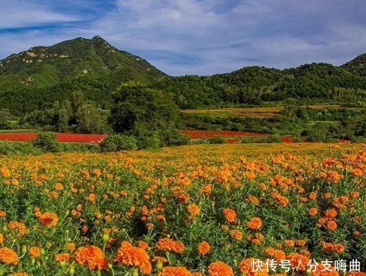 提高语文积累与运用的成绩并不难，只要做对这些事