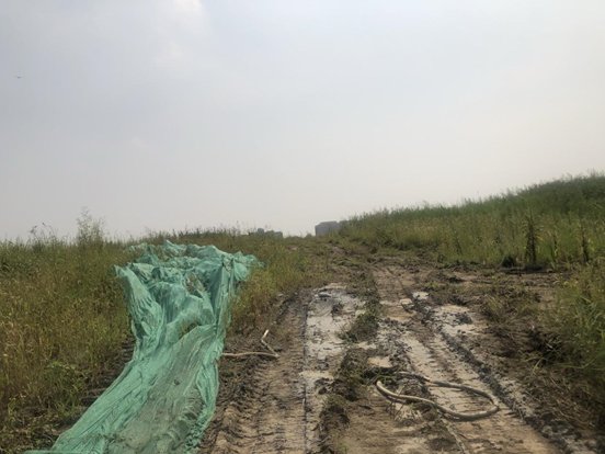 地块|疯狂内卷!今年刚需躲不掉的区域又上新了,这次是机会还是坑?