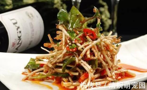 养生|为啥说鱼腥草是害人草，吃鱼腥草到底是好是坏，看完涨知识了