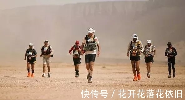 主辦方|奔跑在撒哈拉沙漠地獄馬拉松的一只狗