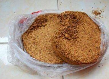 养君子兰, 随便掰块“废渣”扔盆底, 不到半年可以养出50盆