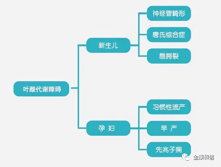 孕妈|生呗盘点:只补三个月,拿叶酸当饭吃。准爸妈补叶酸有点野