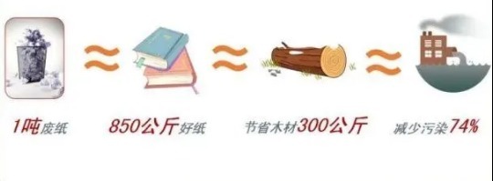 科普|【Ranpak科普小课堂】爱上回收,让包装废弃物不再“流浪”
