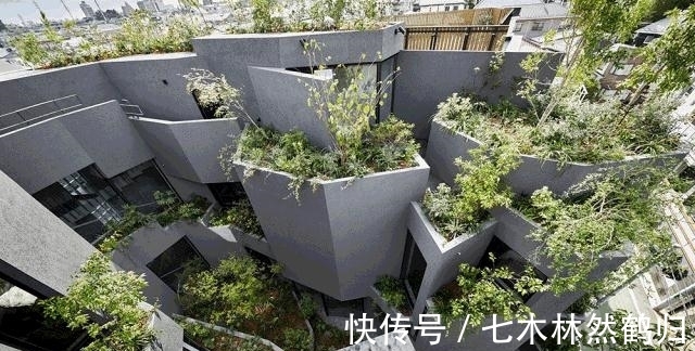 施工方|日本396㎡混凝土别墅，设计完美，施工方却怒斥：太难了