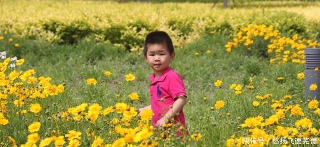 赏花|北京一公园，被称为公主的后花园，初夏赏花的好地方！
