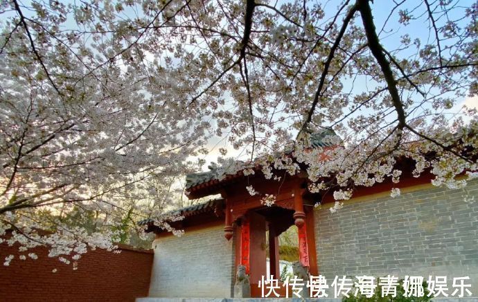 探宝!哲学解释生死,时间会衡量人生的意义,用瞬间来思考永恒!