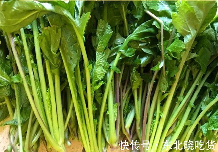 菠菜“太贵啦”，不如自己在家种，掌握4个技巧，一个冬天吃不完