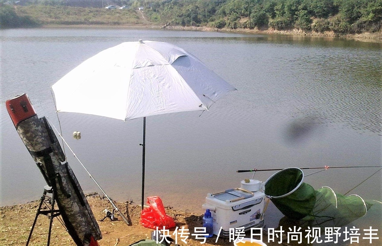 鱼类|钓鱼与太阳、月亮有关？听说初一、十五不好钓鱼，你信吗？