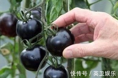 淋巴细胞|人到中年想长寿，多吃三种食物，延缓衰老、抗氧化、美容养颜