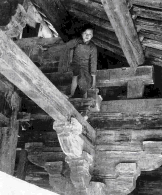 令人|同为民国才女,冰心活了99岁,林徽因51岁早逝,背后原因令人心疼