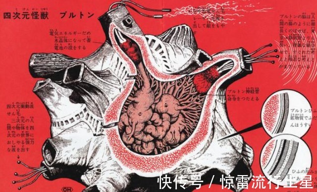 构造|奥特曼里的怪兽,身体结构是怎么样的官方公开的信息很吓人