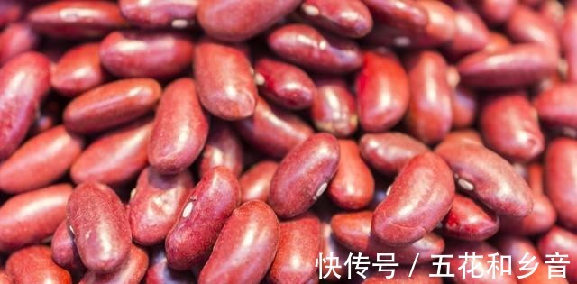 老话说“冬吃豆、赛过肉”,入冬后多吃什么豆很多人还不知道!