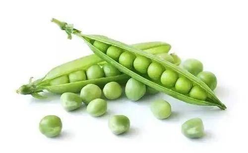 高血压患者|别再吃降压药了!高血压的克星终于找到了,连喝10天血压恢复正常