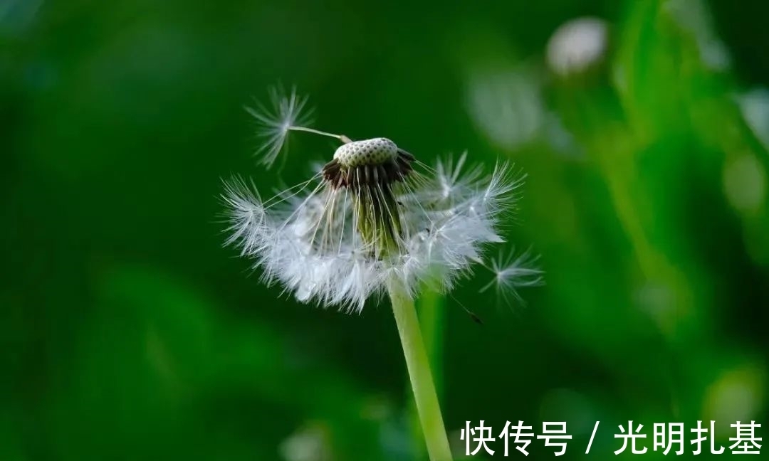 安然|岁月是一首悠扬的歌