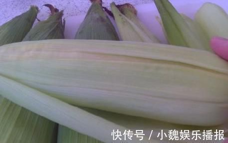 化痰止咳|天然的“止咳药”找到了,此物用了煮水,化痰止咳,一整年不咳嗽