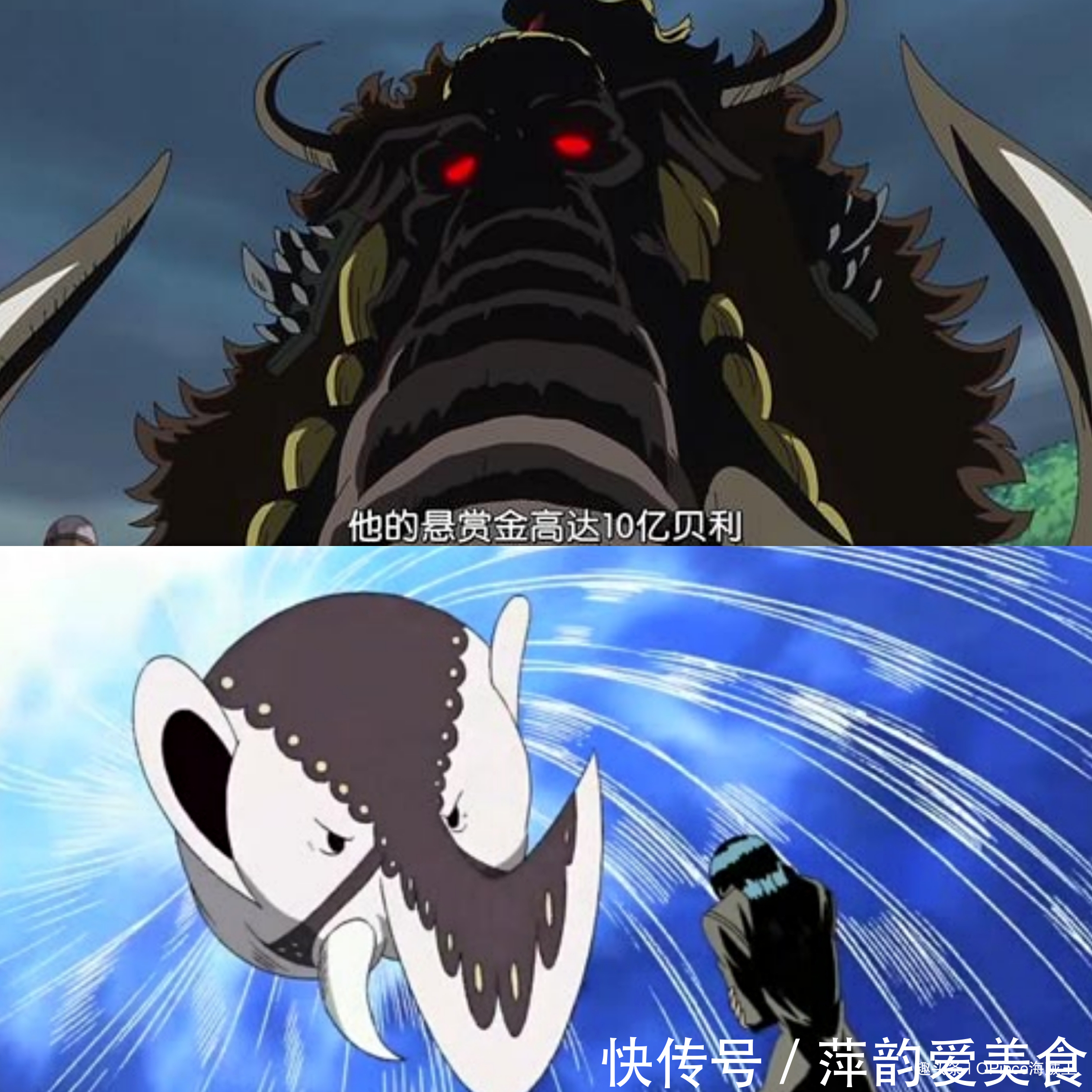 九尾狐|海賊王:奇妙的動物系,同名果實存在多種形態!龍龍果實多達5顆