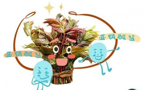 无论有多懒,这5种蔬菜吃之前要焯水,否则等同在吃“毒素”