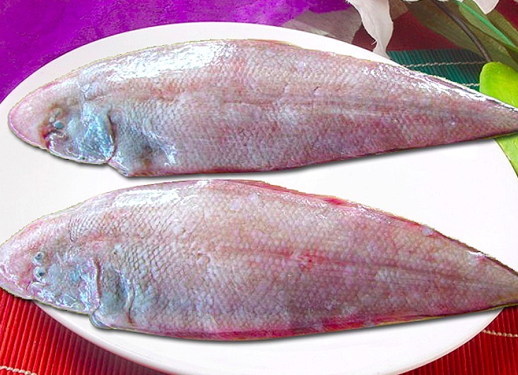 dh秋天,有钱没钱,5种海鱼记得给孩子吃,富含DHA,孩子头脑更聪明!