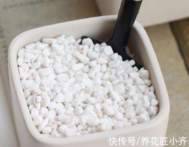 什么专用土、通用土，都不如自己“调配”，适合环境的才是最好的