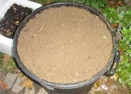 4种垃圾不会分类别担心,埋在花盆底,叶子绿得直滴油!