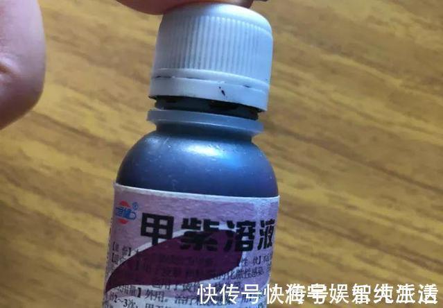 盆栽|李大姐养君子兰,开春“切一刀”,养60天,冒出9个芽,要爆盆了