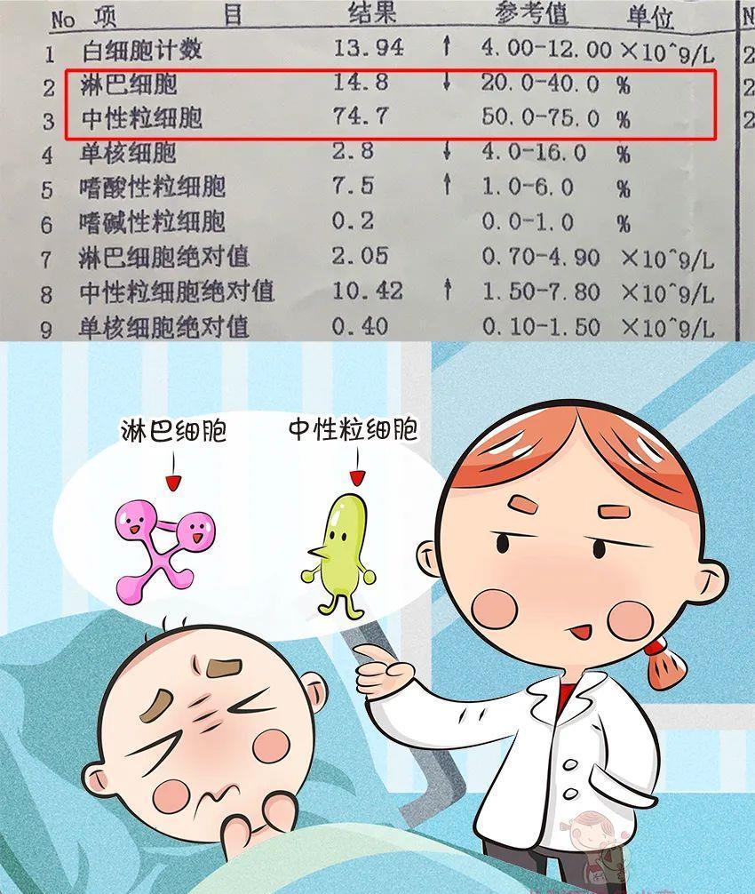 看血常规像看天书?知道这几个指标意味着什么,就够啦