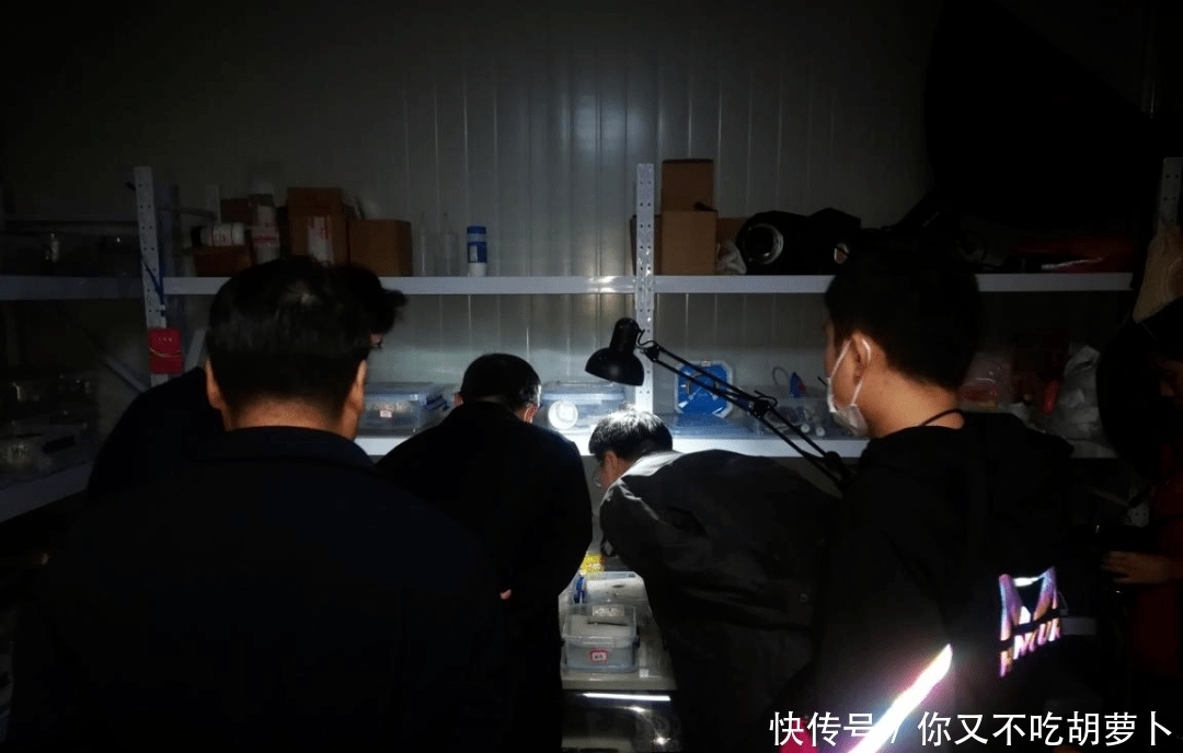 考古研究院|极为罕见!安福庞家千年古墓最新进展...