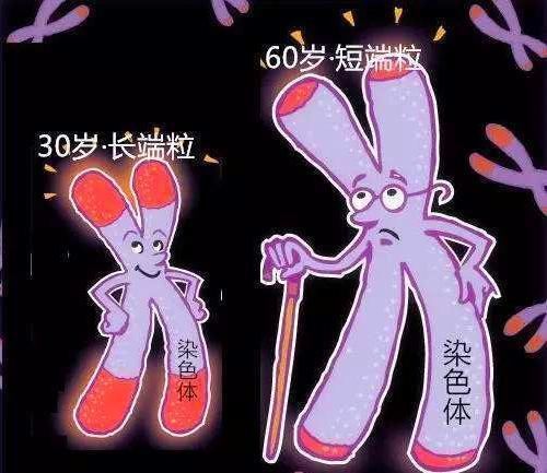 科学家 美国双胞胎太空实验,人体发生神秘变化,出乎科学家意料