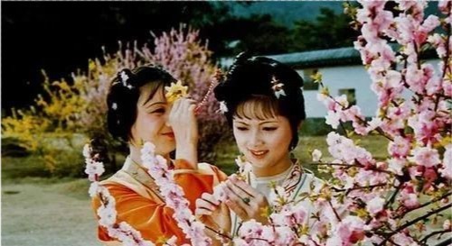 药方#红楼梦:癞头和尚为什么度林黛玉出家,而不度薛宝钗出家呢?