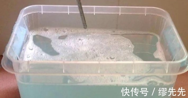 养花生虫,试试这4样“家庭好物”,保你轻松驱虫杀虫