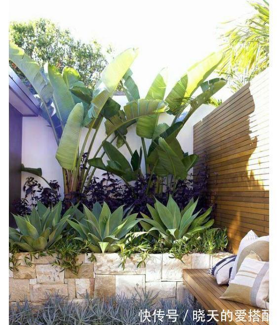 治愈系|小空间庭院花园,正确的绿植搭配技巧,让小院落变身治愈系小花园