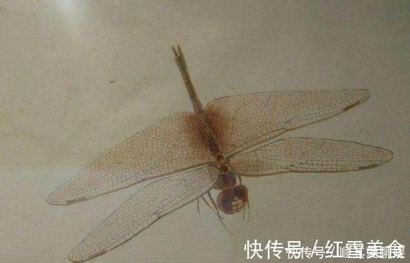 齐白石!把齐白石的草虫放大,这不是照片,这是白石老人的工笔草虫!