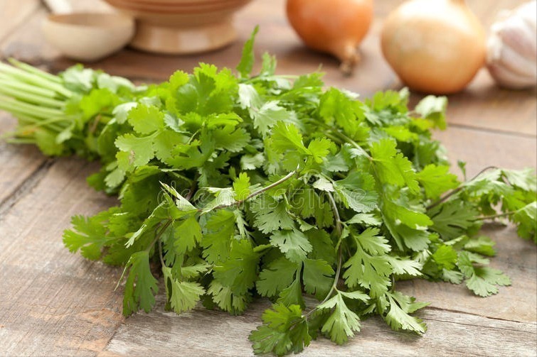立秋|香菜吃不完,老农教你这样保存,放一年都不坏,颜色翠绿味道新鲜