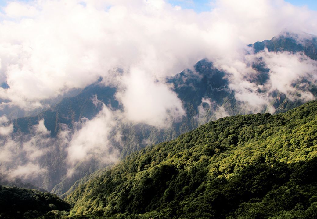 水墨丹青|毕业旅行季，梵净山让你暑假fun肆嗨！