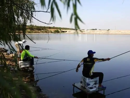 熟悉掌握钓点的这四个特征,真的不用经常去找新钓点