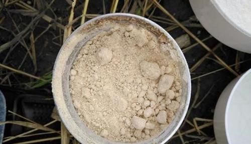 必杀技|钓鱼必杀技:盘点民间这些用饵“野路子”,大鲫连竿的秘密绝招!