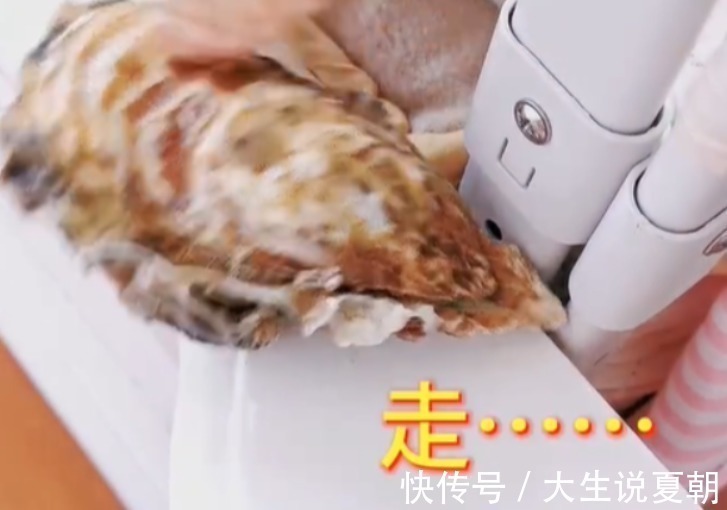 众人|妈妈给宝宝“精准”投食,没想到宝宝的反应萌翻众人,网友:可爱