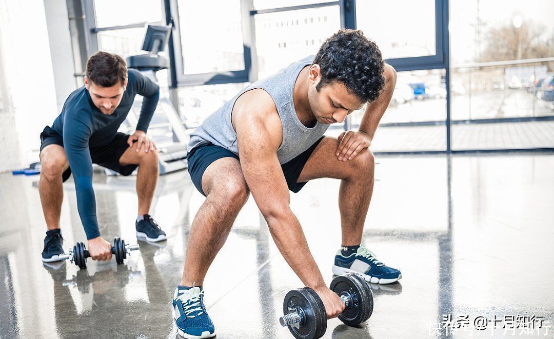 目的|力量训练不是盲目瞎练,5个通用原则,让力量训练高效且安全