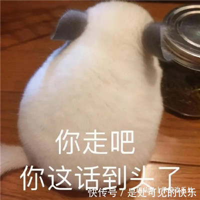 |承笑33期每天看笑话爱笑的人运气不会差