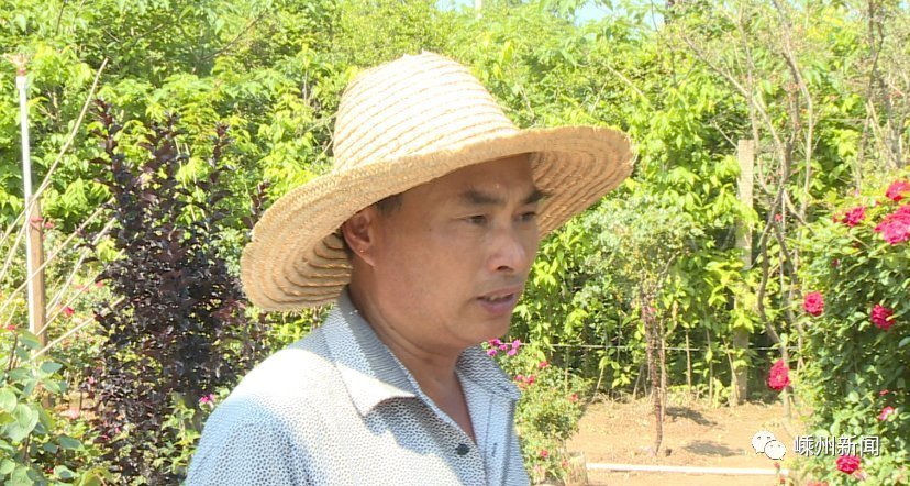 花海|美爆了，嵊州又一个网红打卡地，百亩花海盛开！还有2000多盆优惠待售…