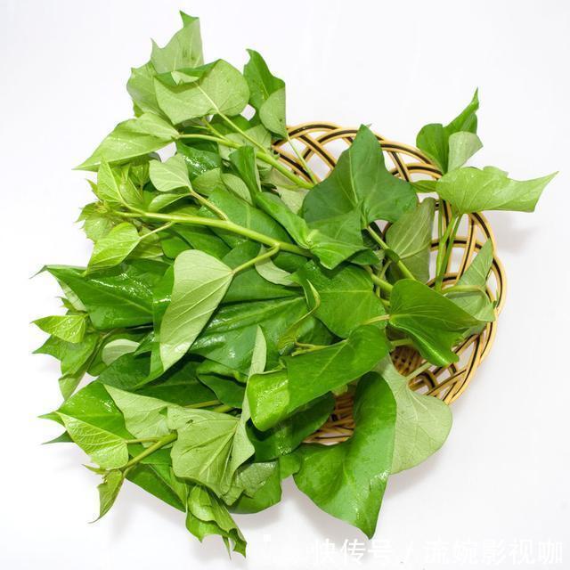 可治|红薯叶的药用价值已经超过人参,可治百病,你们都不知晓吧?